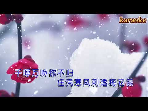 修竹-想問梅花多少淚karaokeKTV 伴奏 左伴右唱 karaoke 卡拉OK 伴唱 instrumental修竹-想問梅花多少淚karaoke