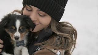 🐶 The 10 most #Cute Puppies in the world | dogs #video