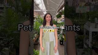 Discover Pet-Friendly Plants | The Home Depot