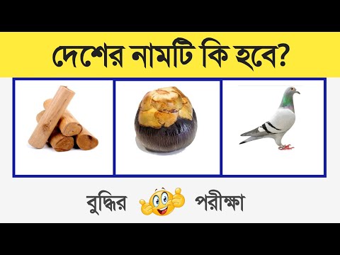 দেশের নামটি কি হবে? | puzzle riddles | dhadha | Brain Test?