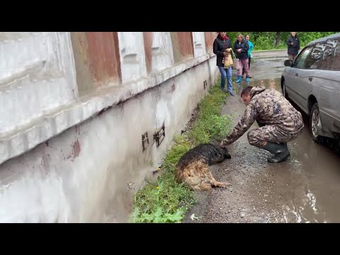 “Please help me, I'm in so much pain,” he cries helplessly, collapsed in a puddle of despair.