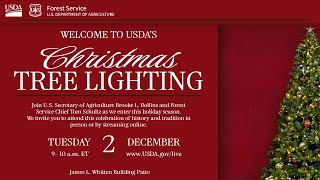 2025 Christmas Tree Lighting