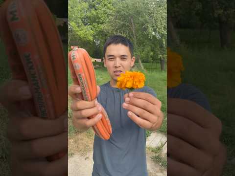 ГОТОВИМ ДОМАШНИЕ СОСИСКУ В ТЕСТЕ #рецепты #новыйрецепт #сосискавтесте