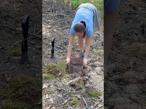 Camping Life Hack - A Bonfire Inside a Rotten Bucket