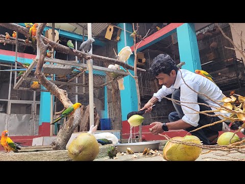 Birds Diet When Temperature Is About 47 Degree Centigrade .  Part-2