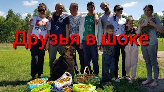 видео