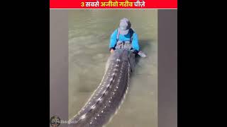 3 सबसे अजीबो गरीब चीज़े 😱।।Bittu top facts।। #shorts #ytshorts