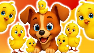 🐤🐥Los Pollitos con Animales 🐶🐱 - Canciones Infantiles y Rimas para Niños LooLoo Kids Espanol