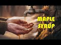 Maple Syrup Production Essentials