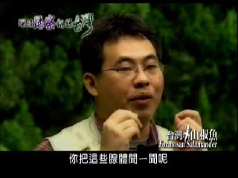 深情踏察-台灣山椒魚 - YouTube(2分31秒)