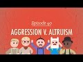 Exploring Aggression and Altruism in Psychology