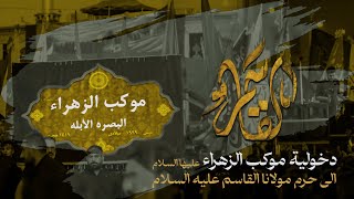 دخولية حرم الأمام القاسم | مشاية موكب الزهراء | الاربعين 1446 هـ