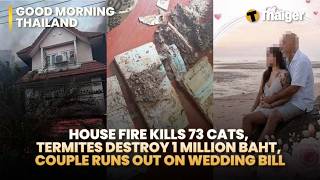 YouTube video thumbnail: Thailand News: 73 Cats Killed, ฿1M Termite Damage & Wedding Dine-and-Dash