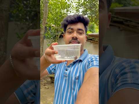সত্যি কি পদ্ম ফুলের বীজ থেকে পদ্ম গাছ হয় Bengali Mini blog ￼#shots