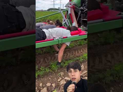 É curioso a forma como os trabalhadores alemães trabalham na agricultura. #noticia