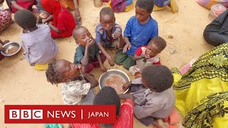「目の前で子供たちが死んでいく」　スーダンで飢餓とコレラが深刻化、BBCが映像入手