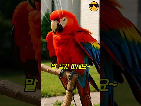 에어컨 수리기사에게 앵무새의 터져버린 한마디ㅋㅋㅋ