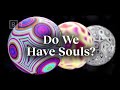 Understanding Particle Physics and Consciousness