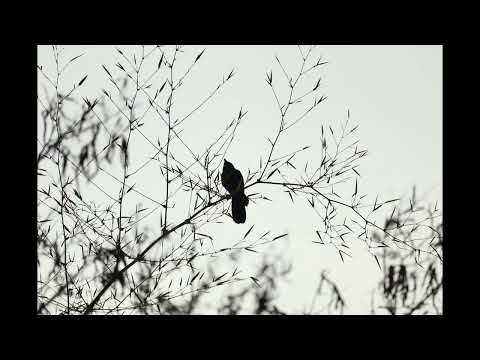 Make Trio - Acoustic rock