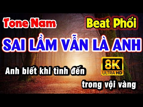 Karaoke SAI LẦM VẪN LÀ ANH | Tone Nam Beat Phối Nhạc Hoa Lời Việt, Johnny Dũng – Lý Hải