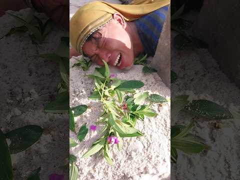 Emak kena Tipu‼️ Panu