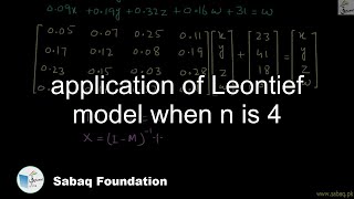 application of Leontief model when n is 4