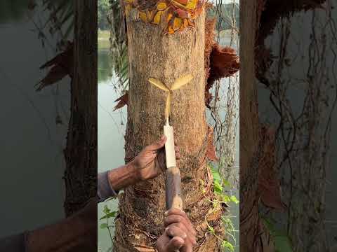 āĻāĻžāĻāĻŋ āĻā§āĻā§āϰ āĻāĻžāĻā§ āĻāĻŋāϞ āĻĻā§āĻā§āĻžā§ āĻŦā§āϝāĻžāϏā§āϤ āĻāĻā§