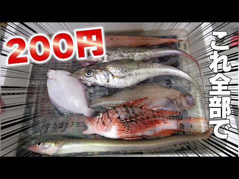 【激安】7匹で200円の魚を使って贅沢魚介天ぷらを作ったよ！
