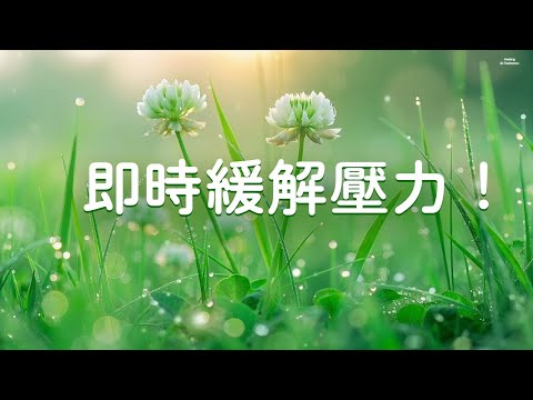 即時緩解壓力！全球最療癒輕音樂 | 鋼琴音樂讓我瞬間感到平靜 | 深度解壓音樂 + 緩解焦慮憂鬱 + 冥想放鬆 + 好聽的晨間音樂