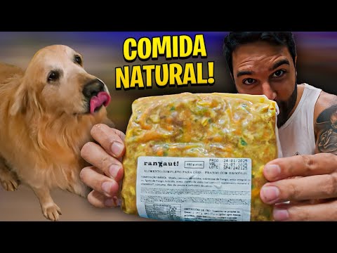 Troquei a RAÇÃO dos meus cachorros por COMIDA NATURAL 😋