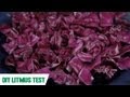 Understanding Litmus Tests and pH