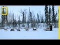 Sled Dog Navigation Challenges