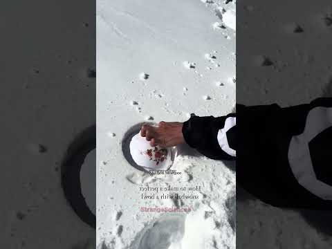 How to Make a PERFECT Snowball Using a Bowl #trick #facts