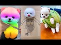 Nursery Rhyme Sound Recognition