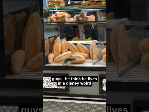 The Real Masters of Survival 🐭 #funny #foryou #animals #shorts #youtubeshorts #mouse