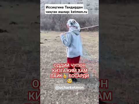 ХУШЧАКЧАК🤣 СИНГИЛЧАГА ЛАЙКЛАРНИ АЯМАЙМИЗ! #uzbekiston24 #musofir #migrant #rozigrish #rek #automobil