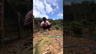Mancing kolam alami umpan sederhana