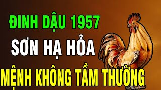 9 Bí Ẩn Tuổi Đinh Dậu 1957: Gieo Nhân Thiện Cả Đời – Hậu Vận Được Trời Đãi, Bỏ Qua Là Mất Phúc!