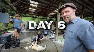 Sudden + Unexpected Lamb Harvest | Grow 30, Day 6