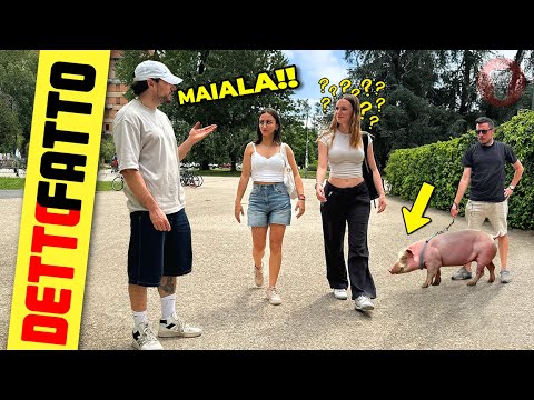 Dite a una Ragazza "CHE MAIALA" ma Intendete il Maiale dietro - [Detto Fatto Ep. 68] - theShow