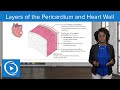 Heart Structure and Function Assessment