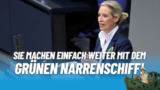 "Sie machen einfach weiter mit dem grünen Narrenschiff!" - Alice Weidel