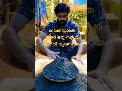 ആർക്കും തുടങ്ങാവുന്ന കൂടിൽ വ്യവസായം,, #diy cement project,,