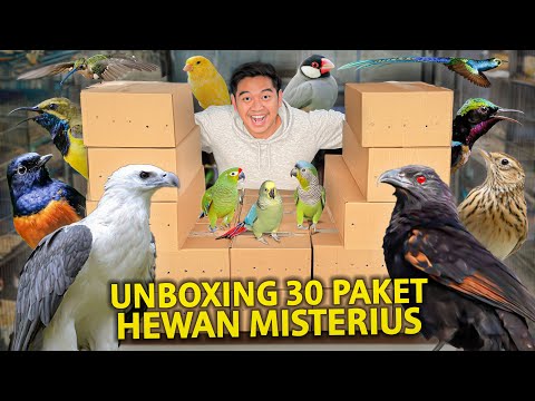 UNBOXING 30 PAKET HEWAN MISTERIUS SEKALIGUS! DAPET JACKPOT BURUNG GACOR?!