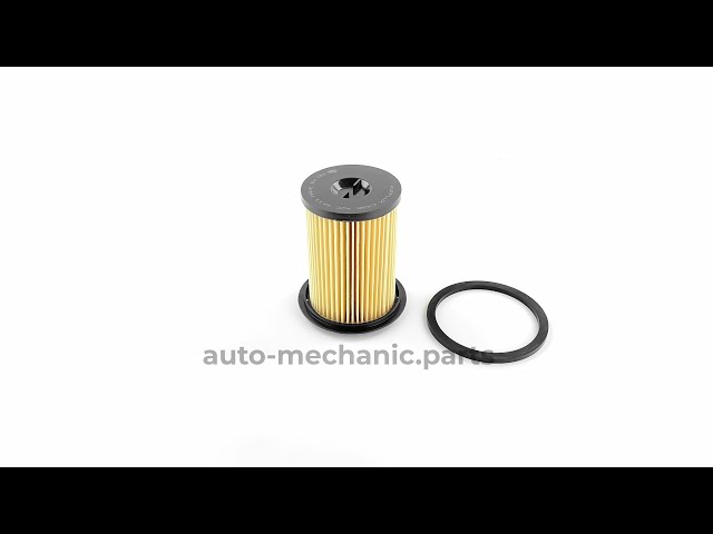 Фільтр паливний Renault Trafic/Master 1.9-2.5DCi, видео - интернет-магазин Auto-Mechanic