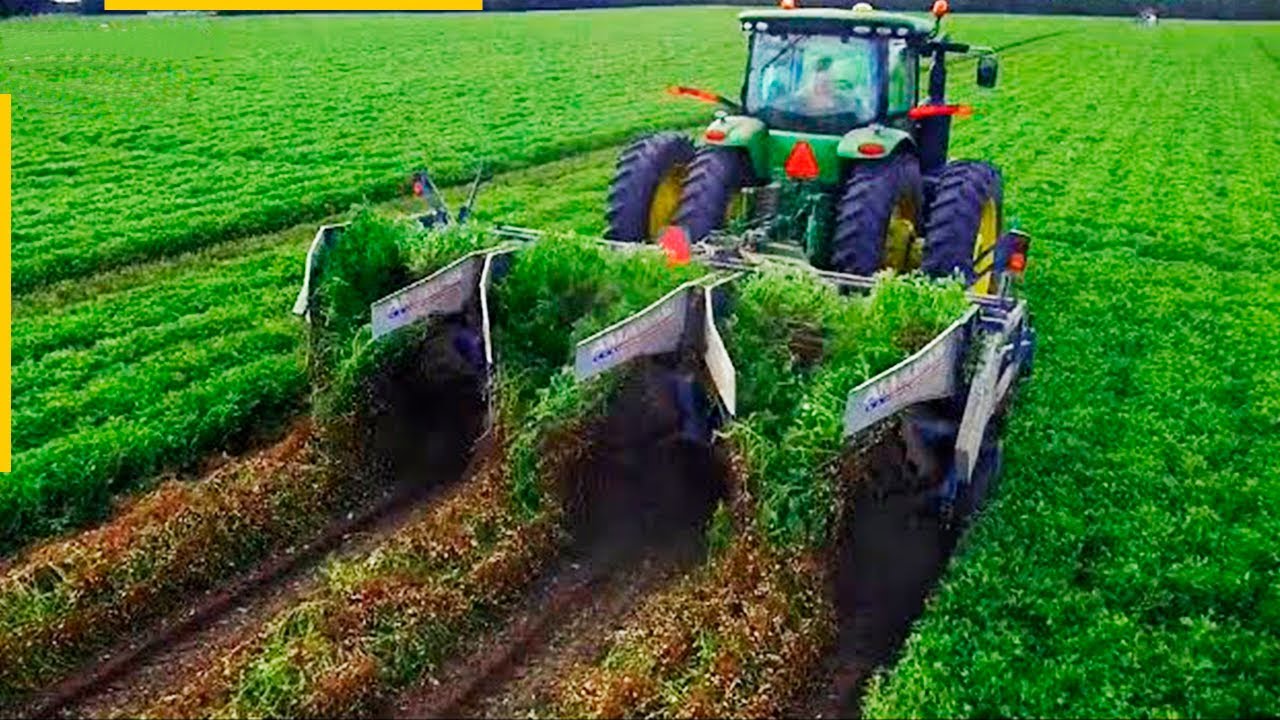 How Holland Became The Most Efficient in the Agricultural Field