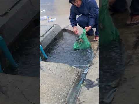 Cleaning Trash