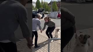Agierst du schon oder reagierst du noch?