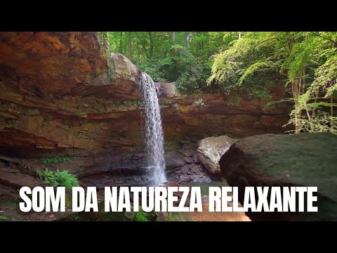 SOM DA NATUREZA RELAXANTE PARA DORMIR - Boa noite!