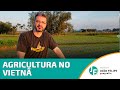Tendências e Desafios Urbanos no Vietnã